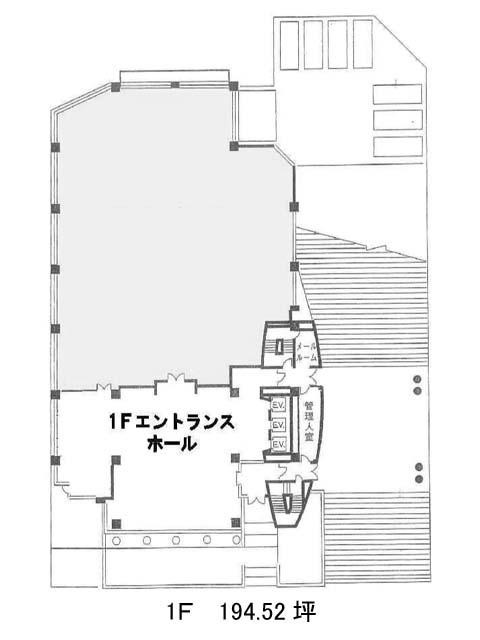 表示画像