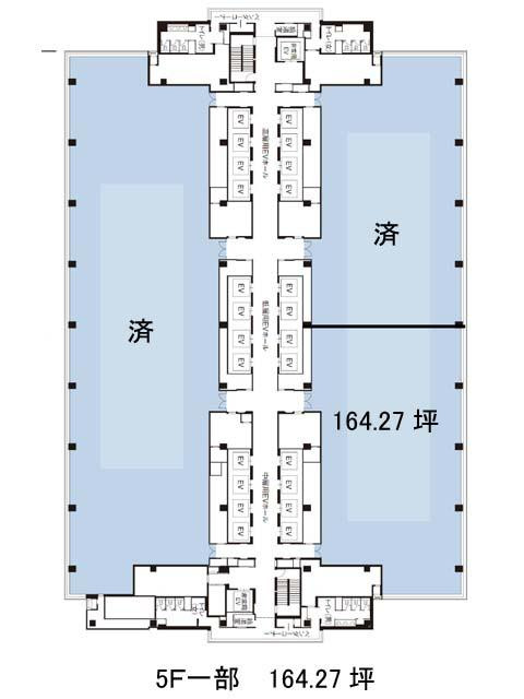 表示画像