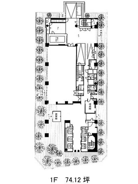 表示画像