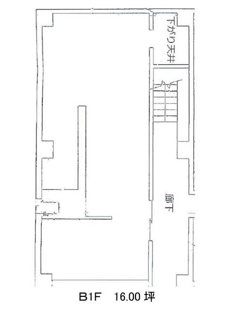 表示画像