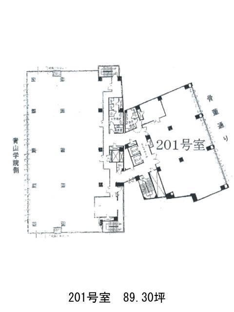 表示画像