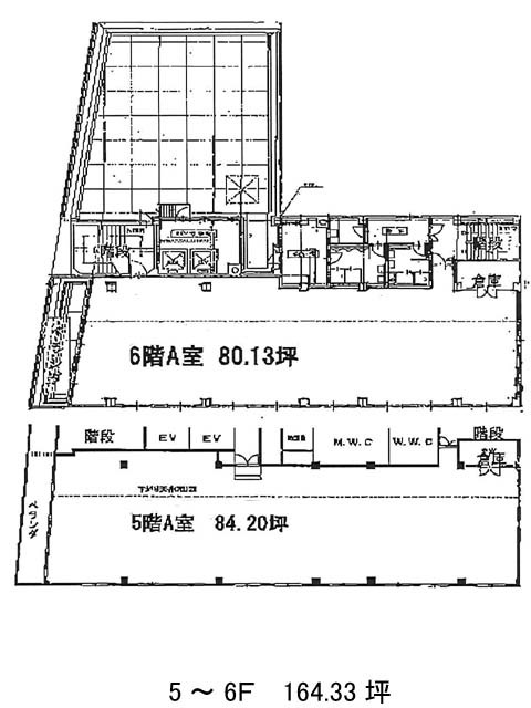 表示画像