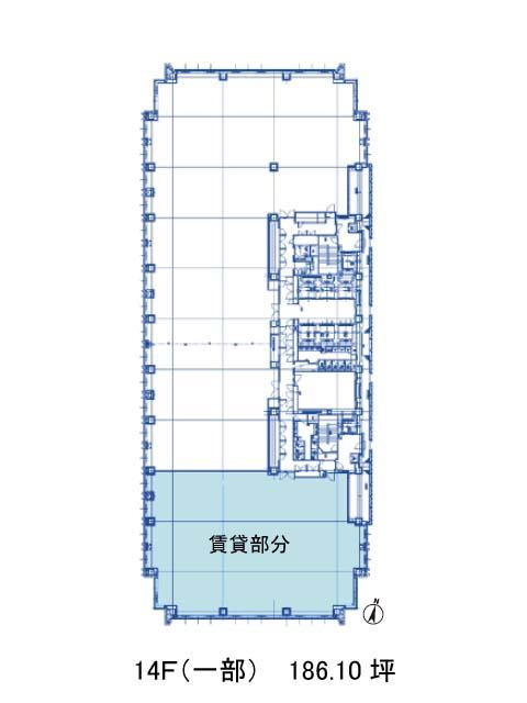 表示画像