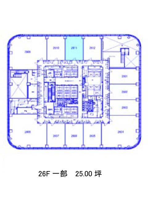 表示画像