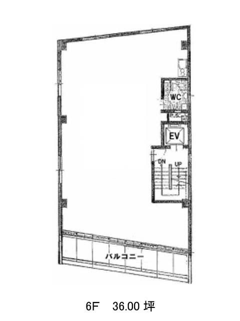 表示画像