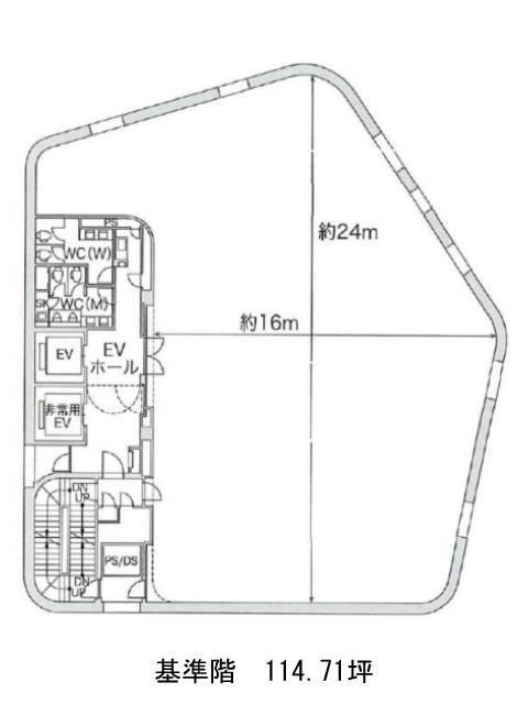 表示画像