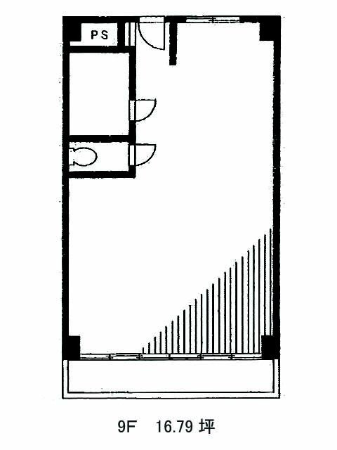 表示画像