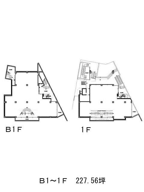 表示画像