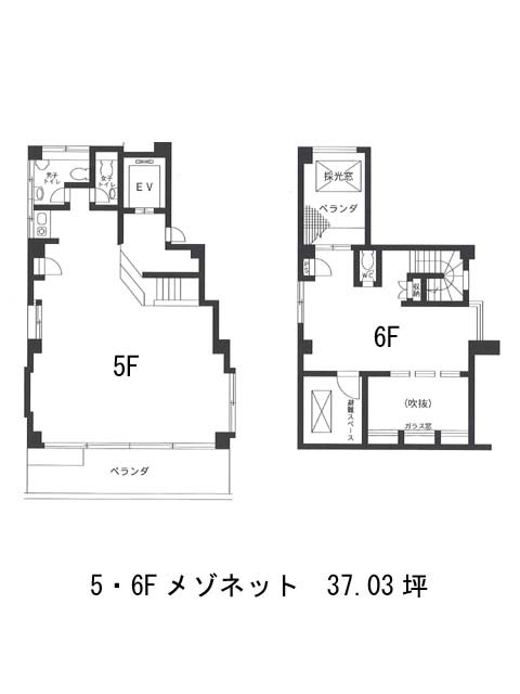 表示画像