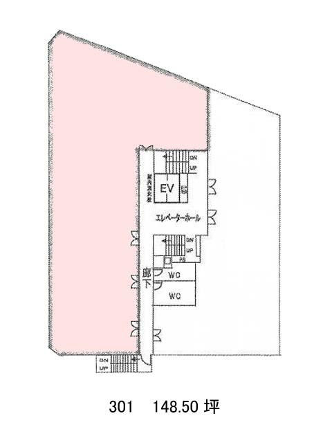 表示画像