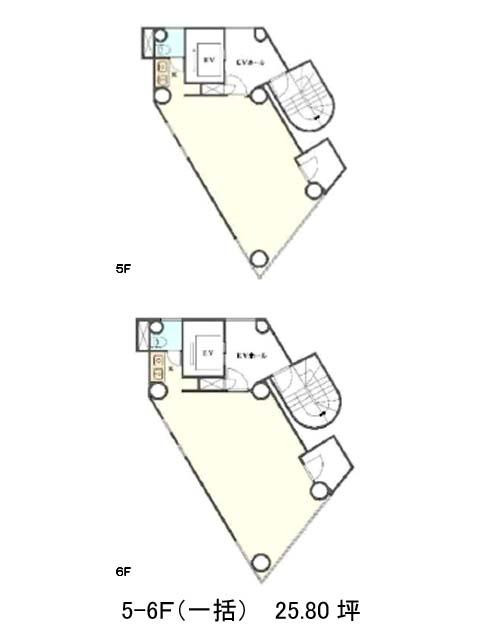 表示画像