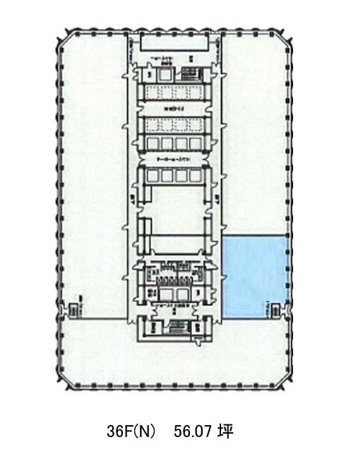 表示画像