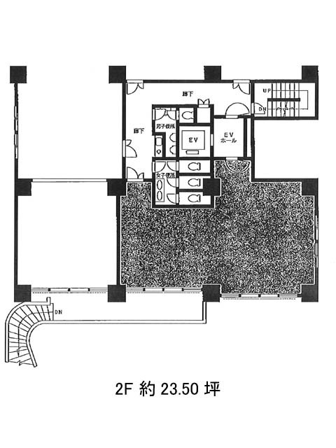 表示画像