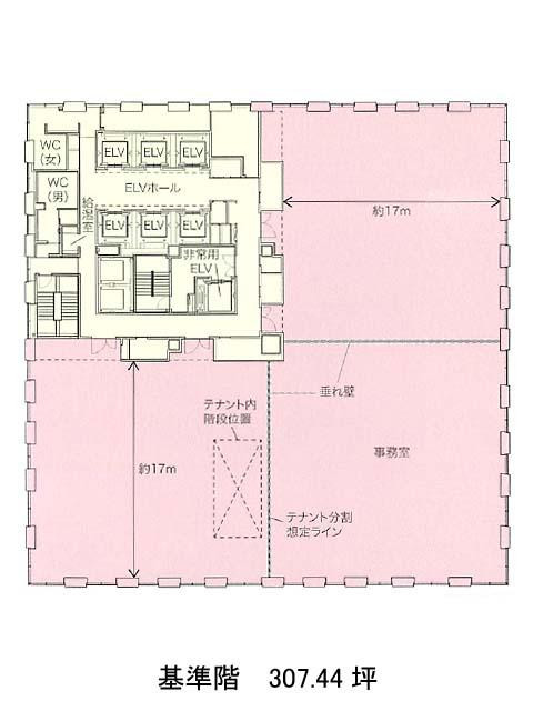 表示画像