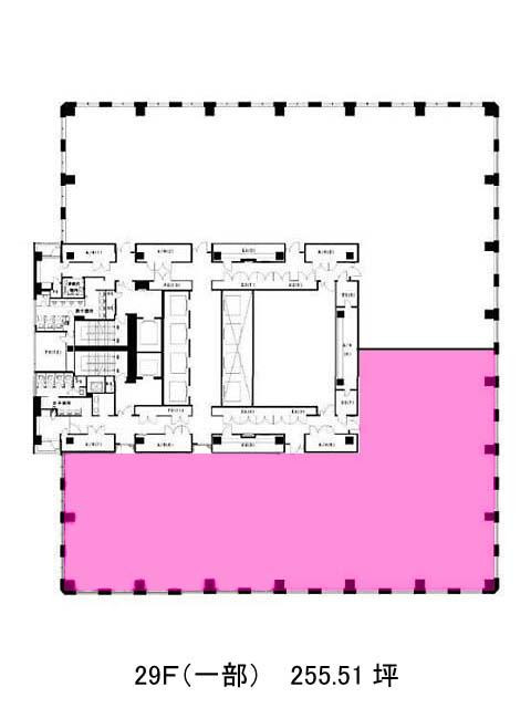 表示画像