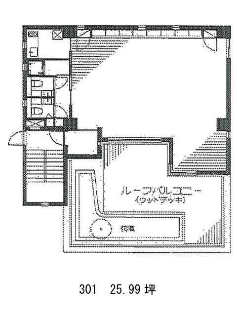 表示画像