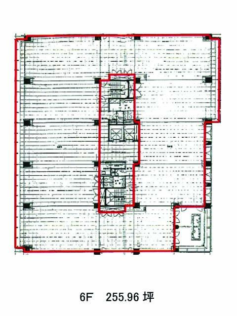 表示画像