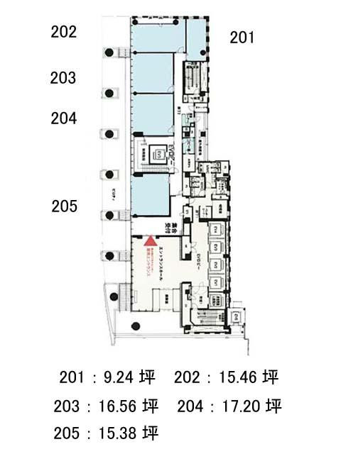 表示画像