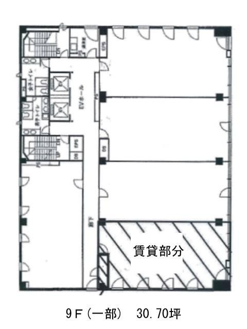 表示画像