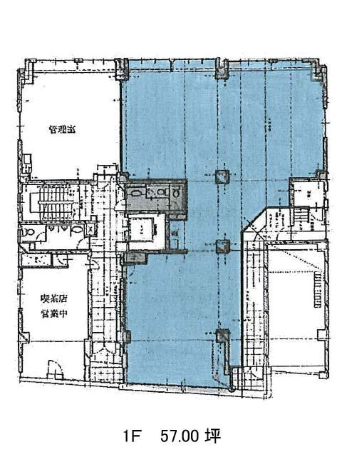 表示画像