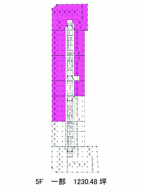 表示画像