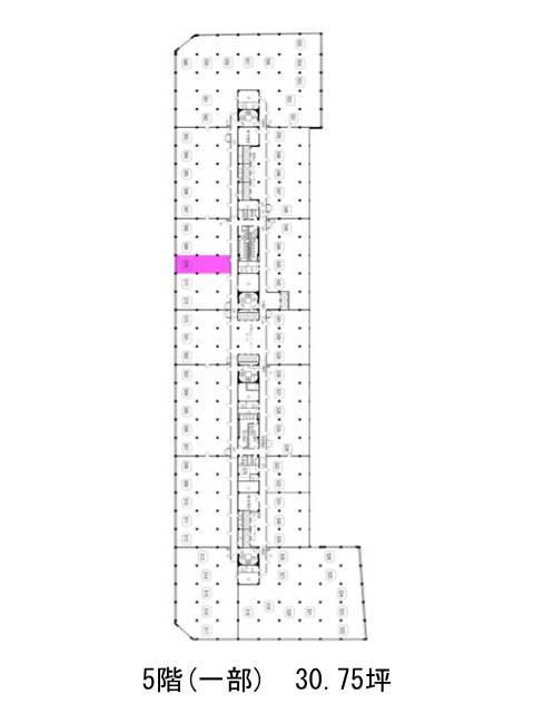 表示画像