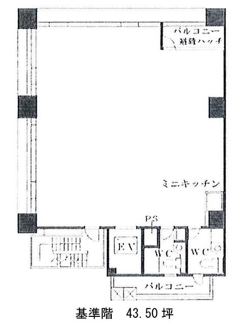 表示画像