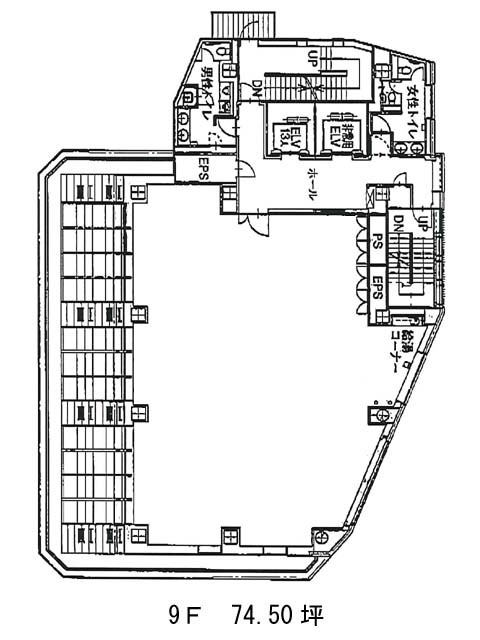 表示画像