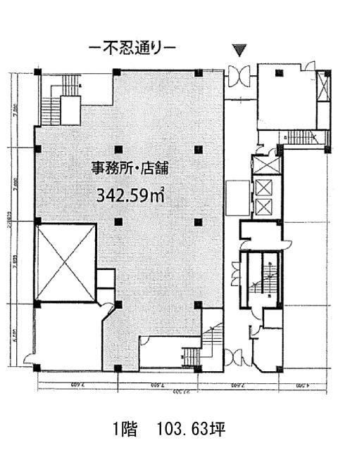 表示画像