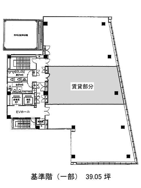 表示画像