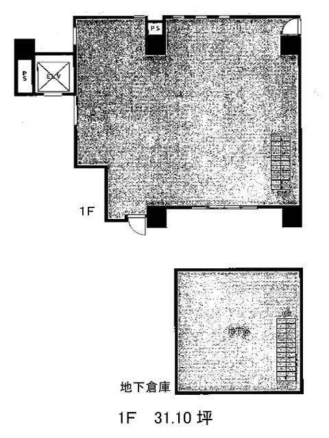 表示画像