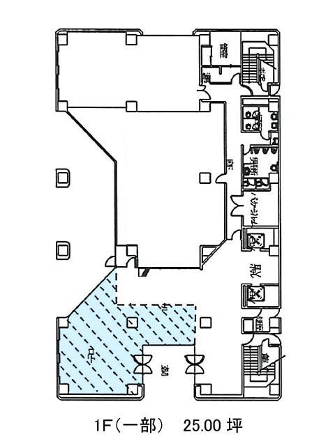 表示画像