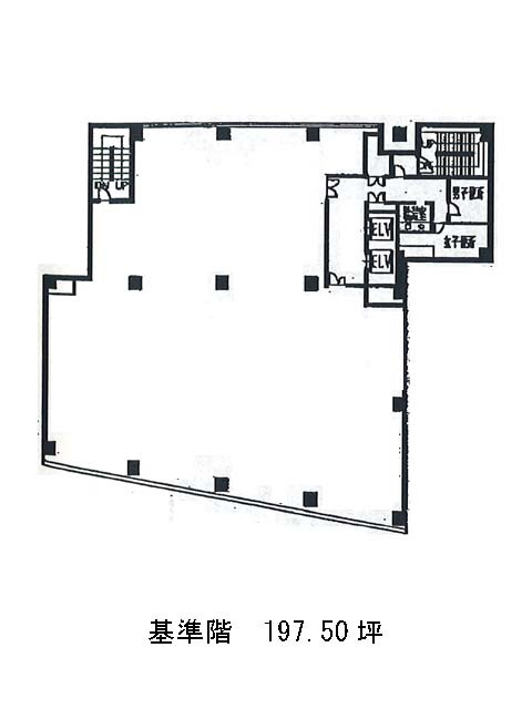 表示画像