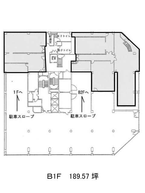 表示画像