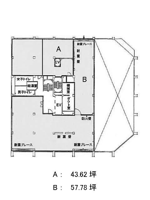 表示画像