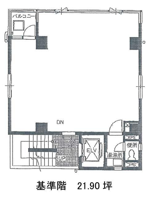 表示画像