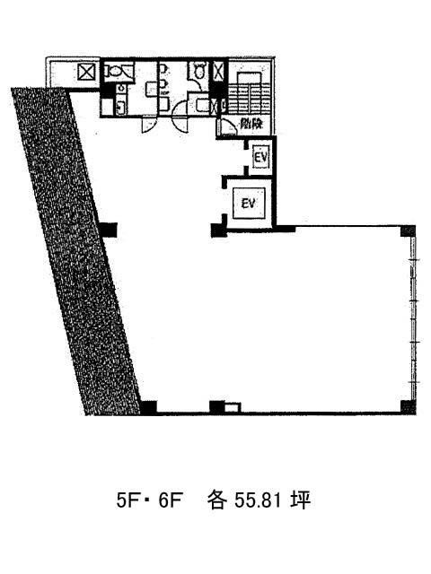 表示画像