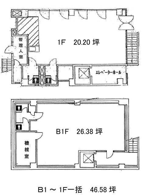 表示画像