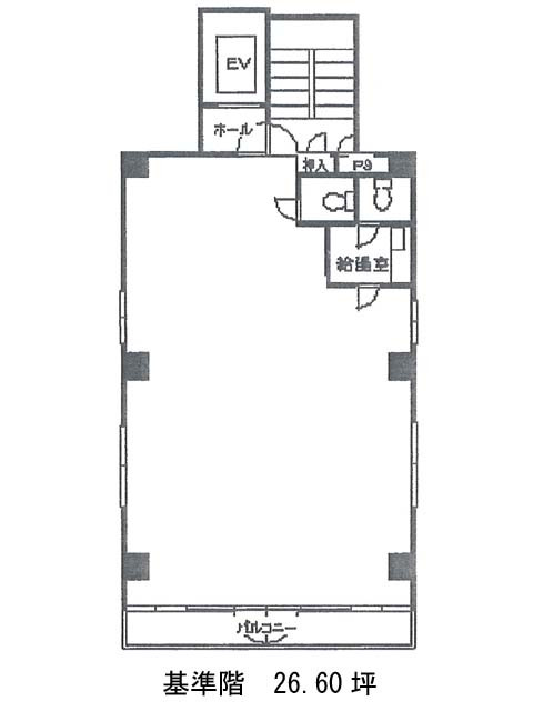 表示画像