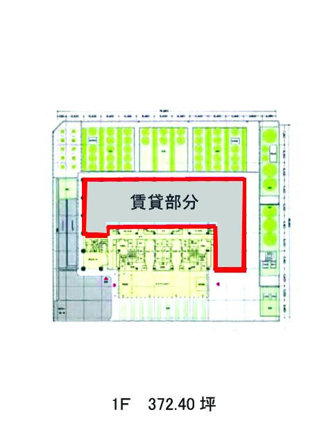 表示画像
