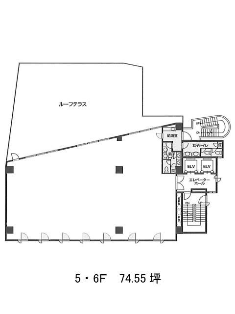 表示画像