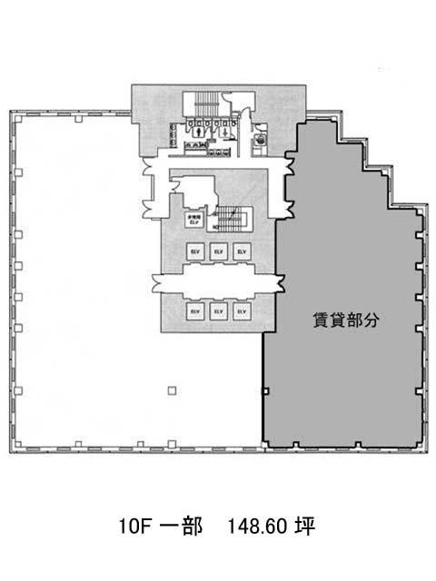 表示画像