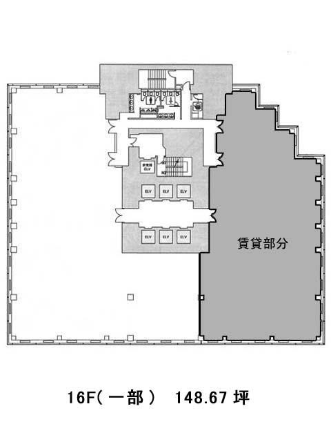 表示画像
