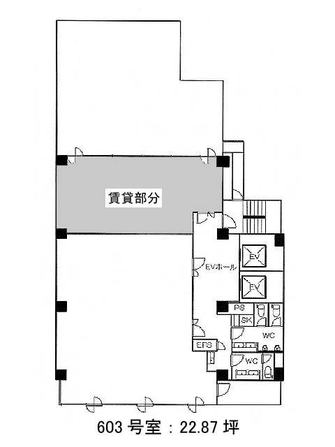 表示画像