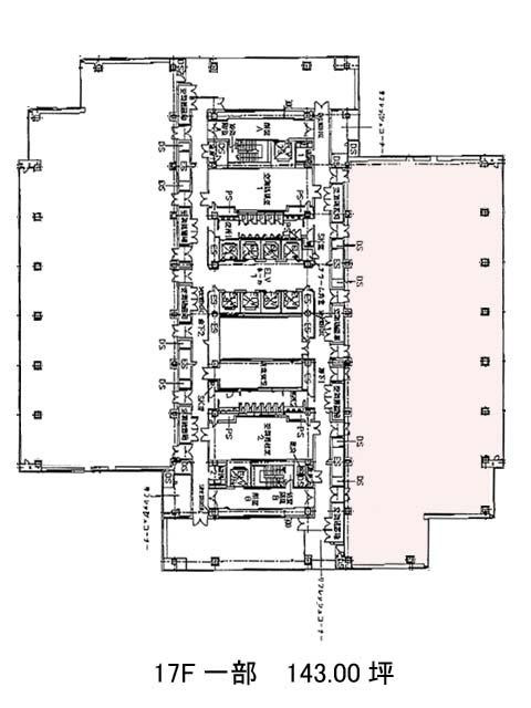 表示画像