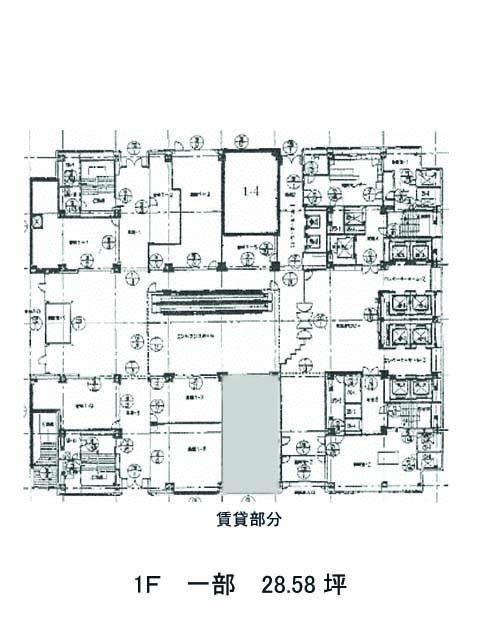 表示画像