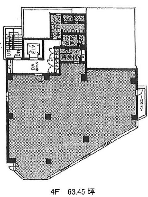 表示画像