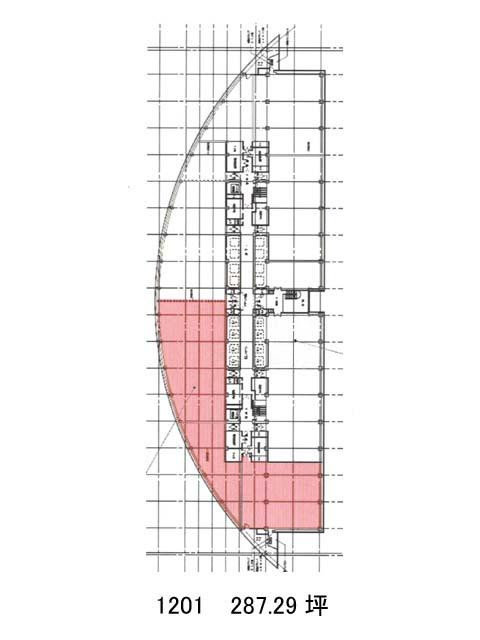 表示画像